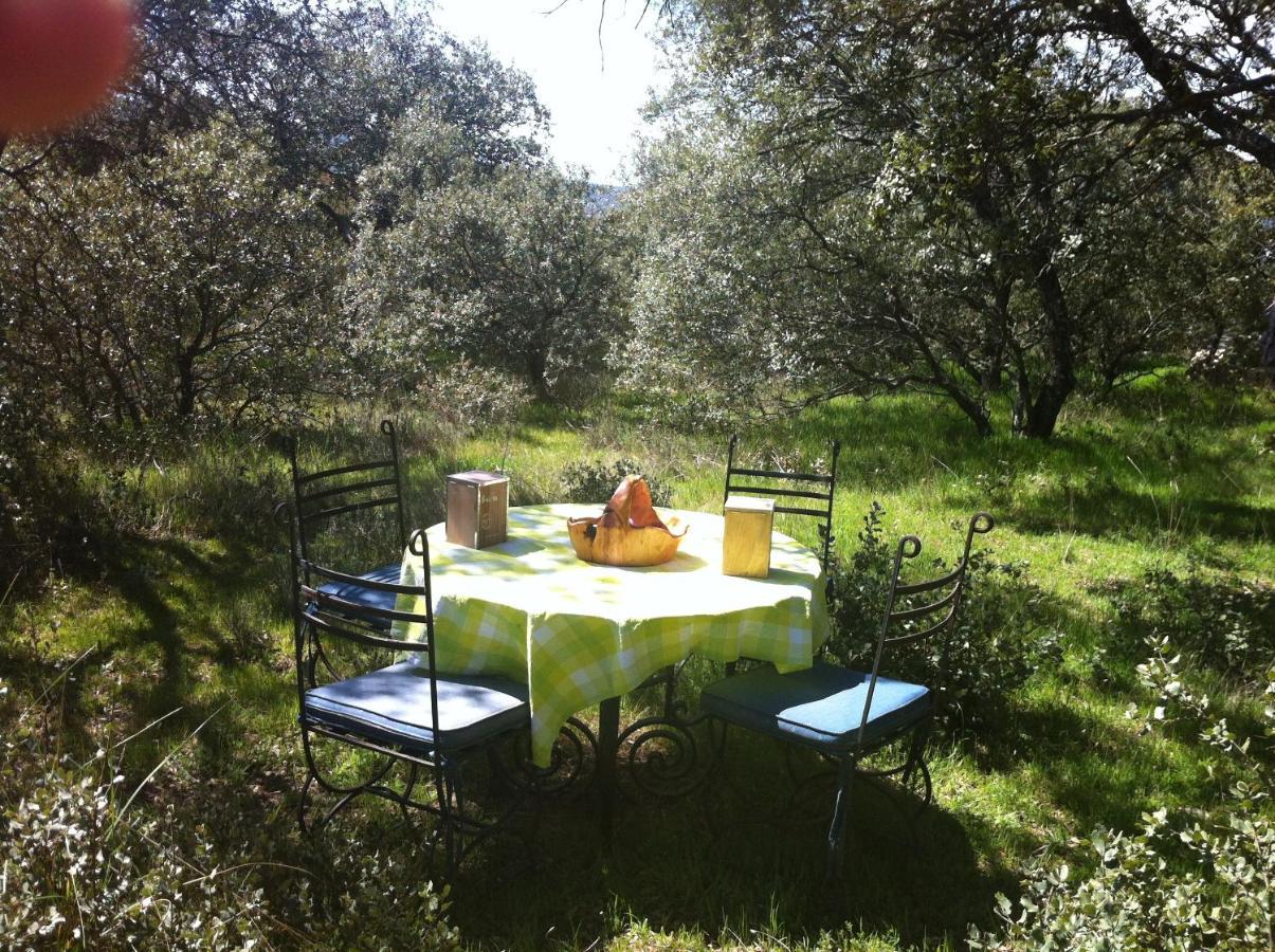 El Rincon De Tus Suenos Villa Ел Еспанар Екстериор снимка